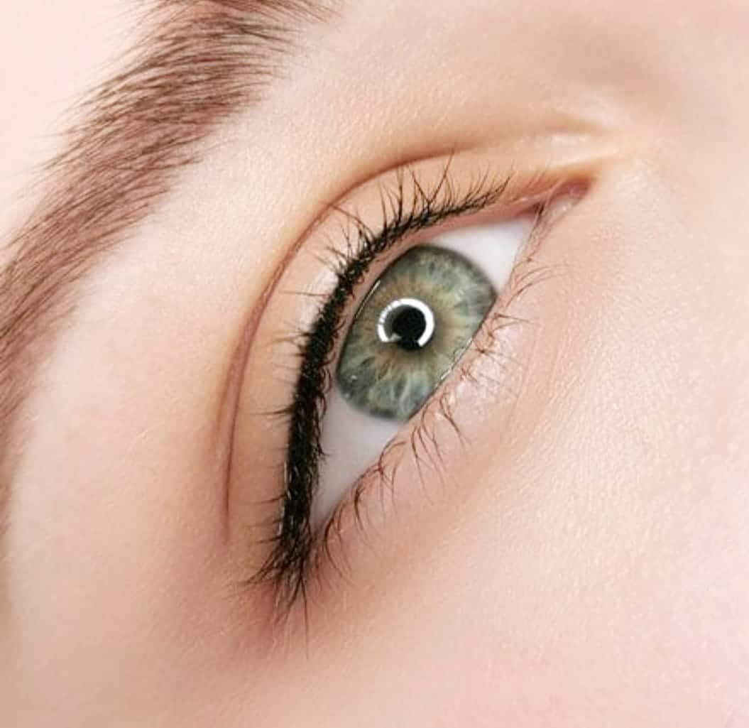 Wimpernkranzverdichtung Schulung – 1:1 Intensiv-Lehrgang inkl. Starterset – Bild 6