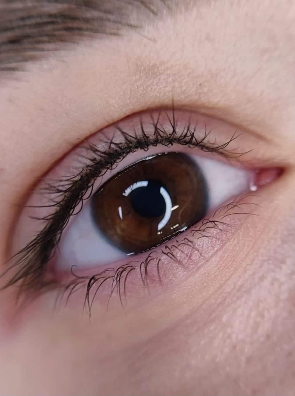 Wimpernkranzverdichtung Schulung – 1:1 Intensiv-Lehrgang inkl. Starterset – Bild 5