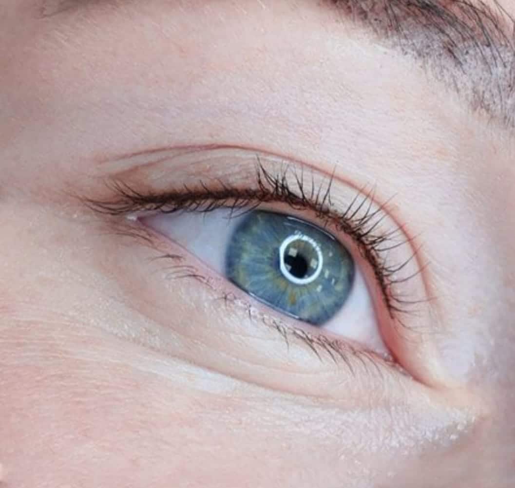 Wimpernkranzverdichtung Schulung – 1:1 Intensiv-Lehrgang inkl. Starterset – Bild 7